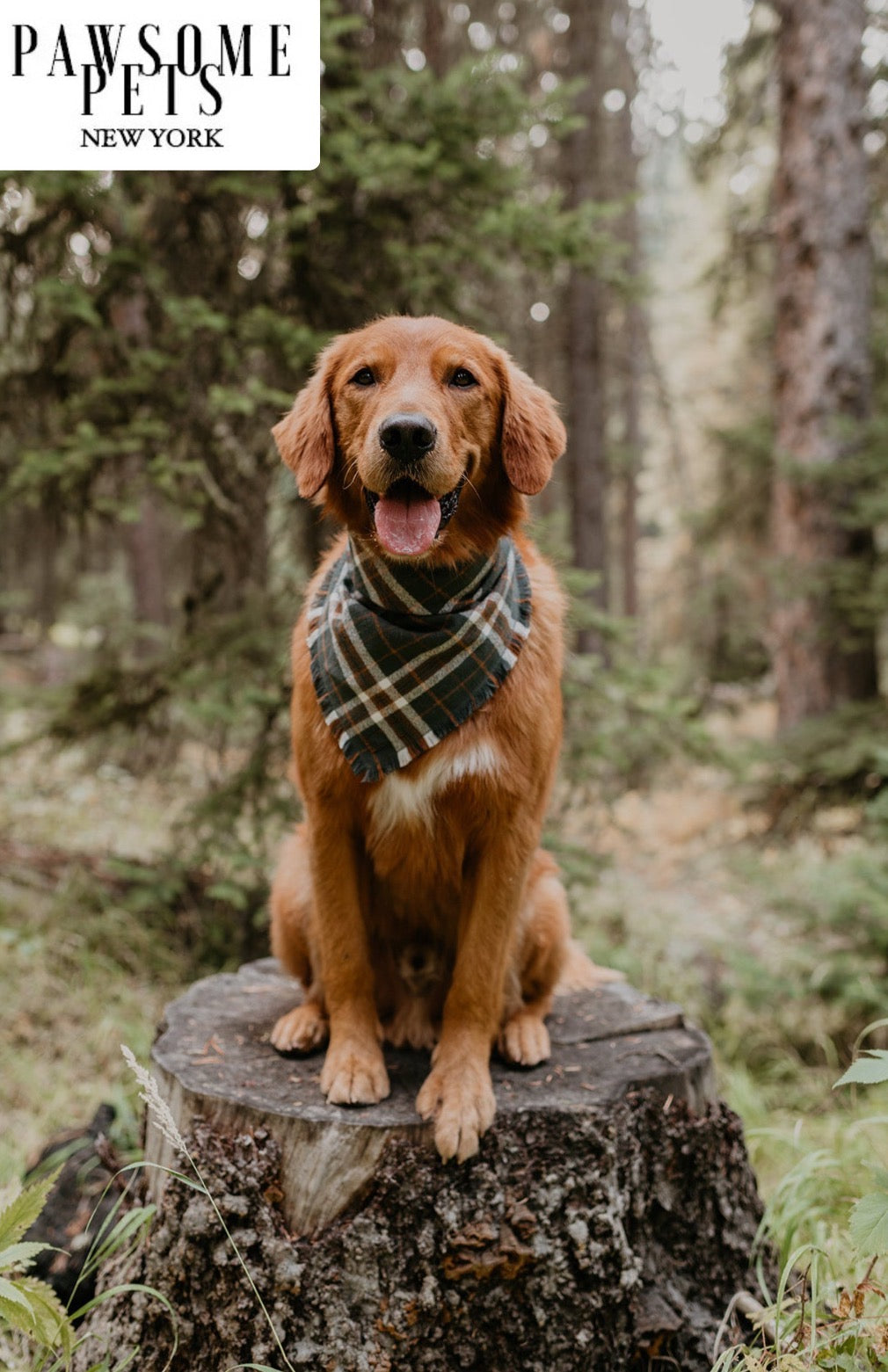 BANDANA - MONROE