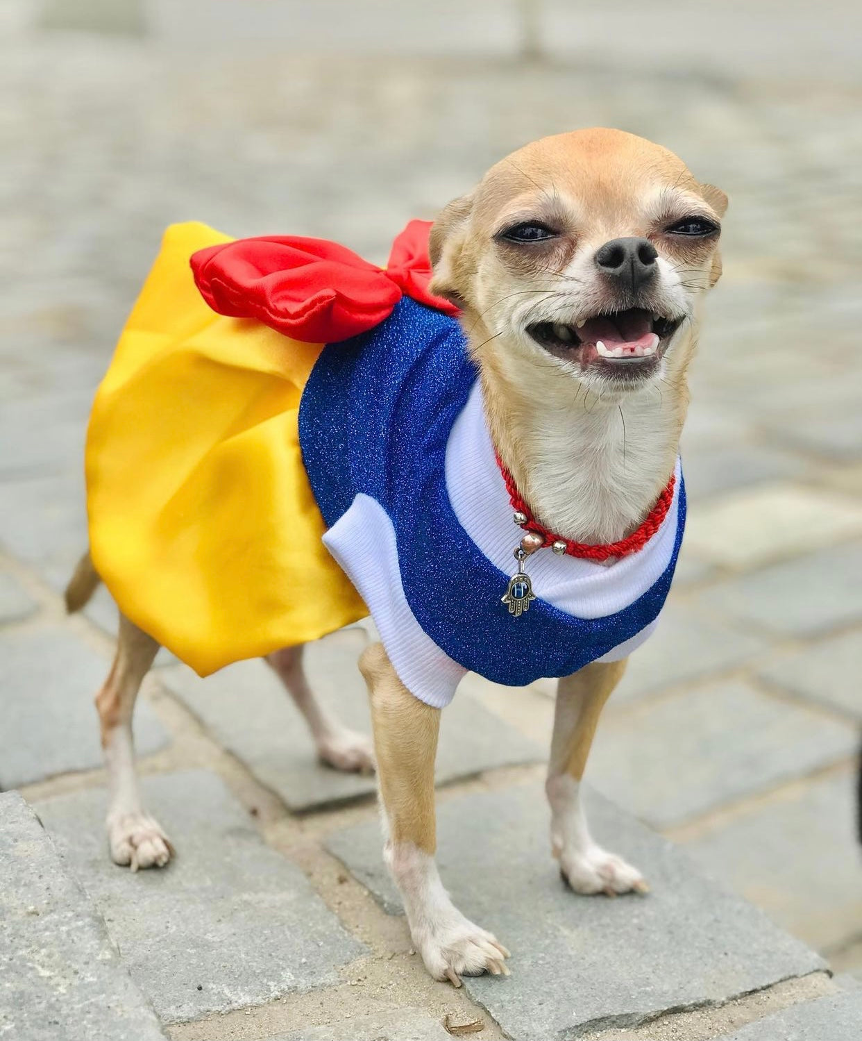 Snow White Dog Costume