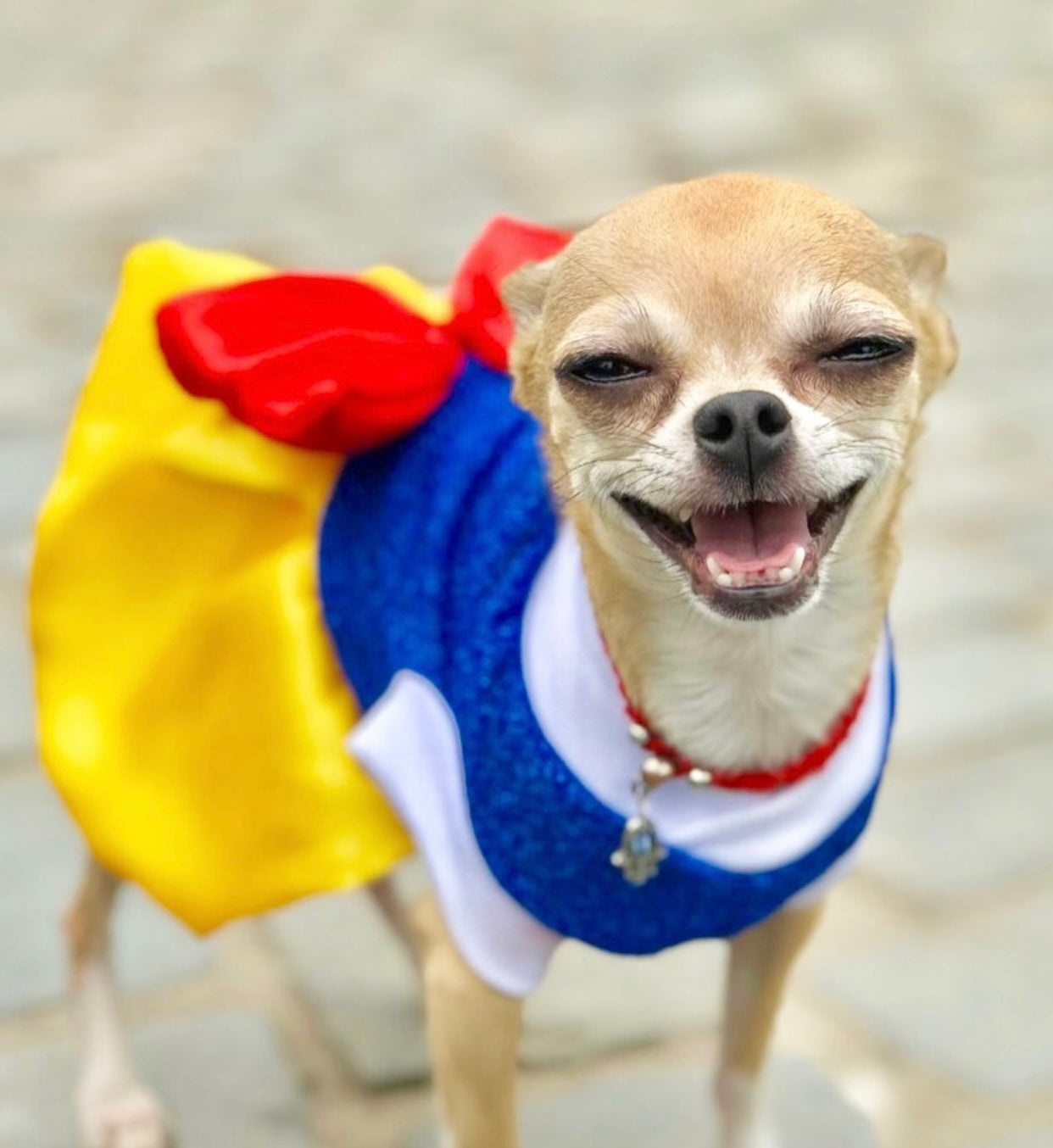 Snow White Dog Costume