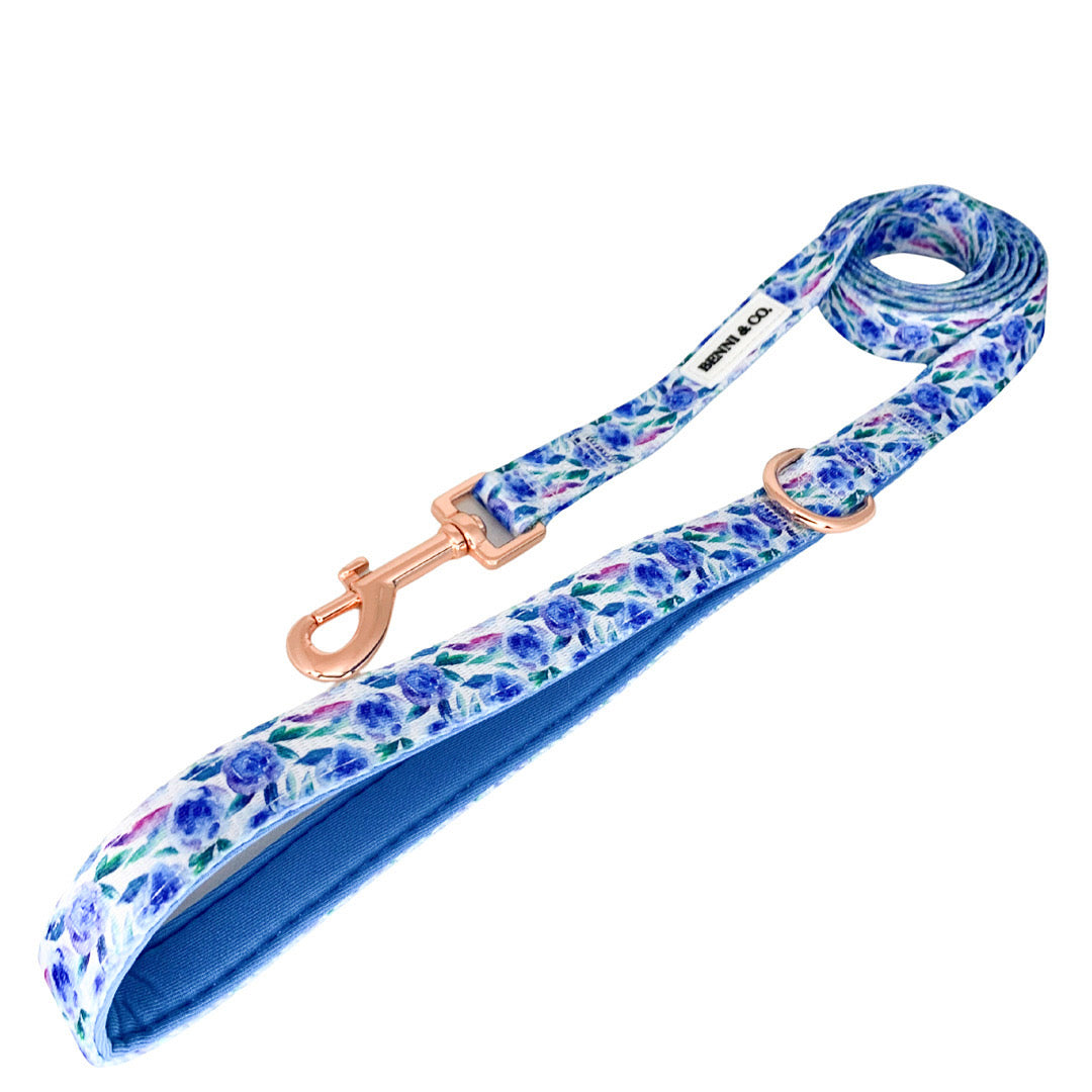 Beach Escape Dog Leash