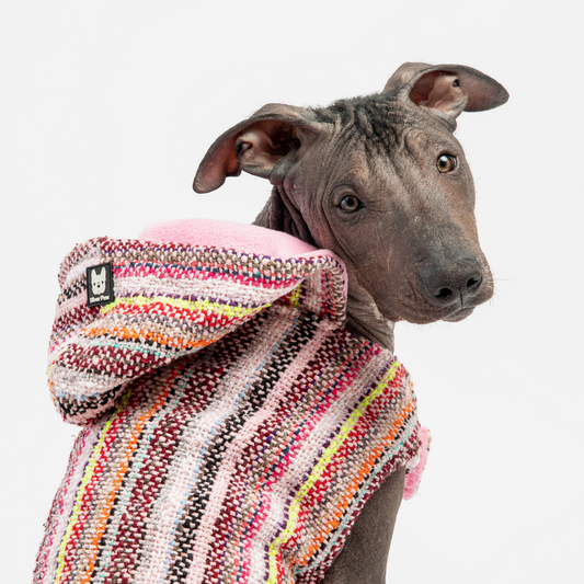 Mexican Made - Baja Dog Poncho - Pink