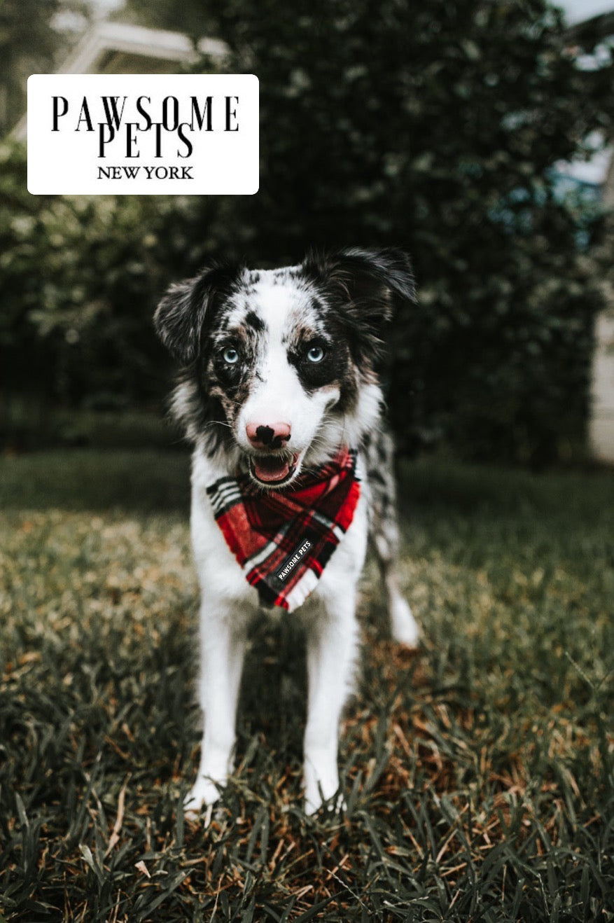 PET BANDANA - HUDSON