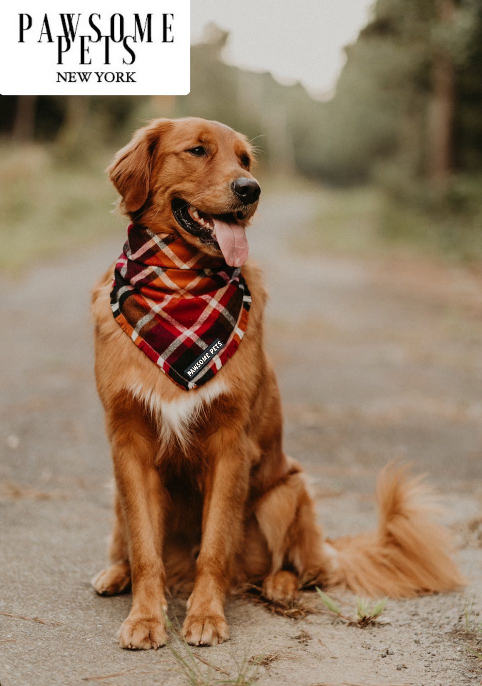 PET BANDANA - HARVEST