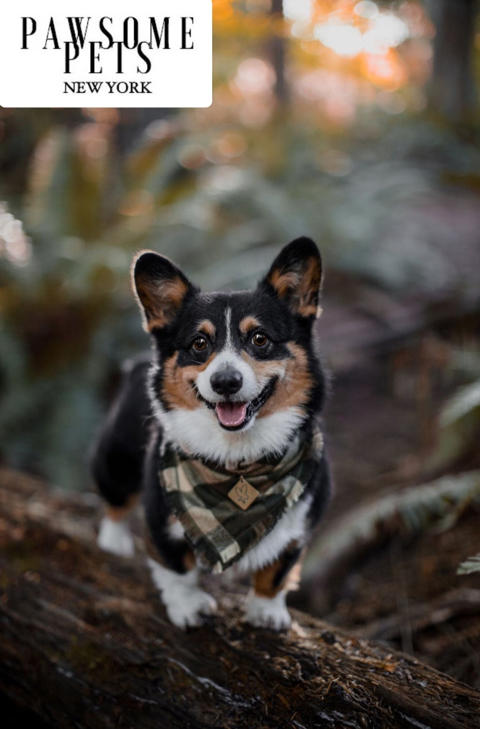 PET BANDANA - OLIVE GREEN