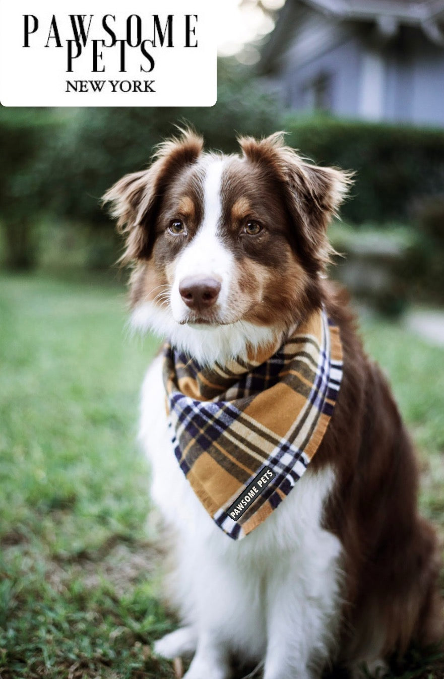 PET BANDANA - BEAU