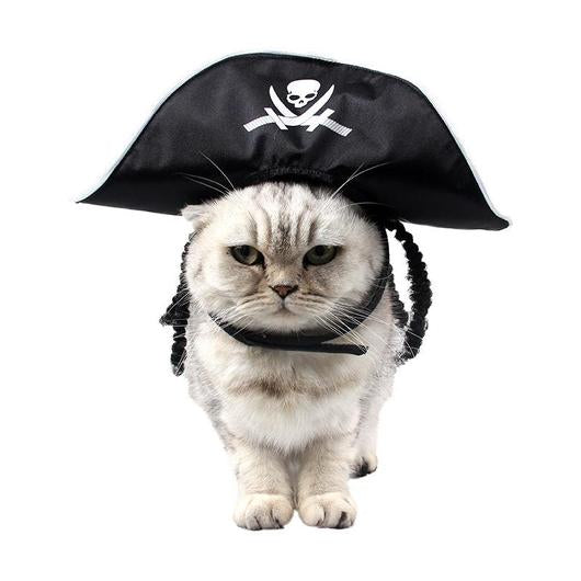 Cat Pirate Hat