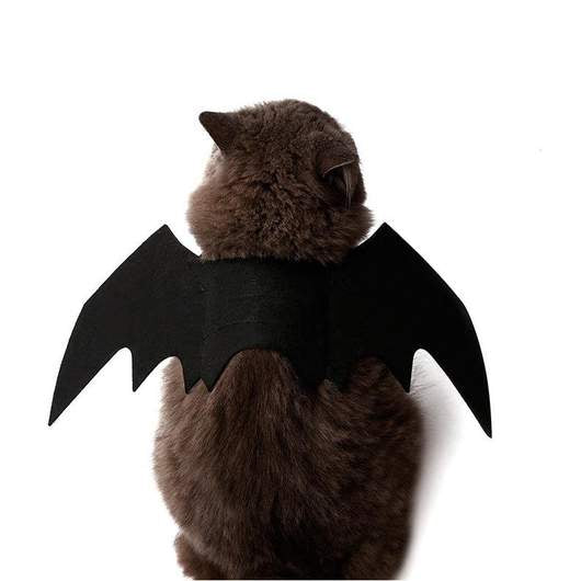 Batwings Cat Costume