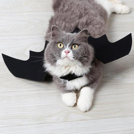 Batwings Cat Costume