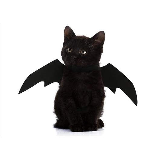 Batwings Cat Costume