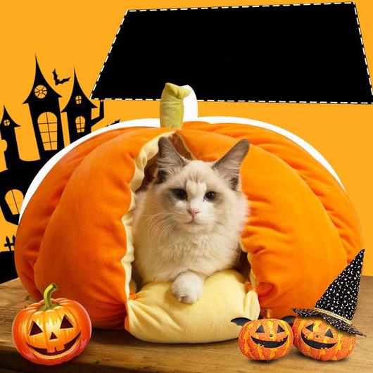 Extra Plush Pumpkin Cat Bed