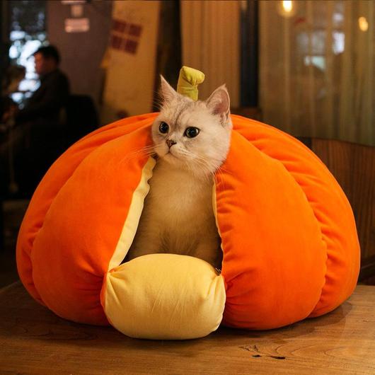 Extra Plush Pumpkin Cat Bed