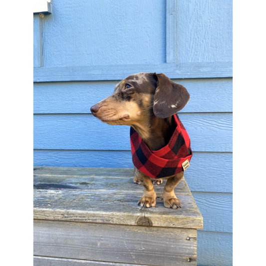 Red Check Dog/Hooman Scarf