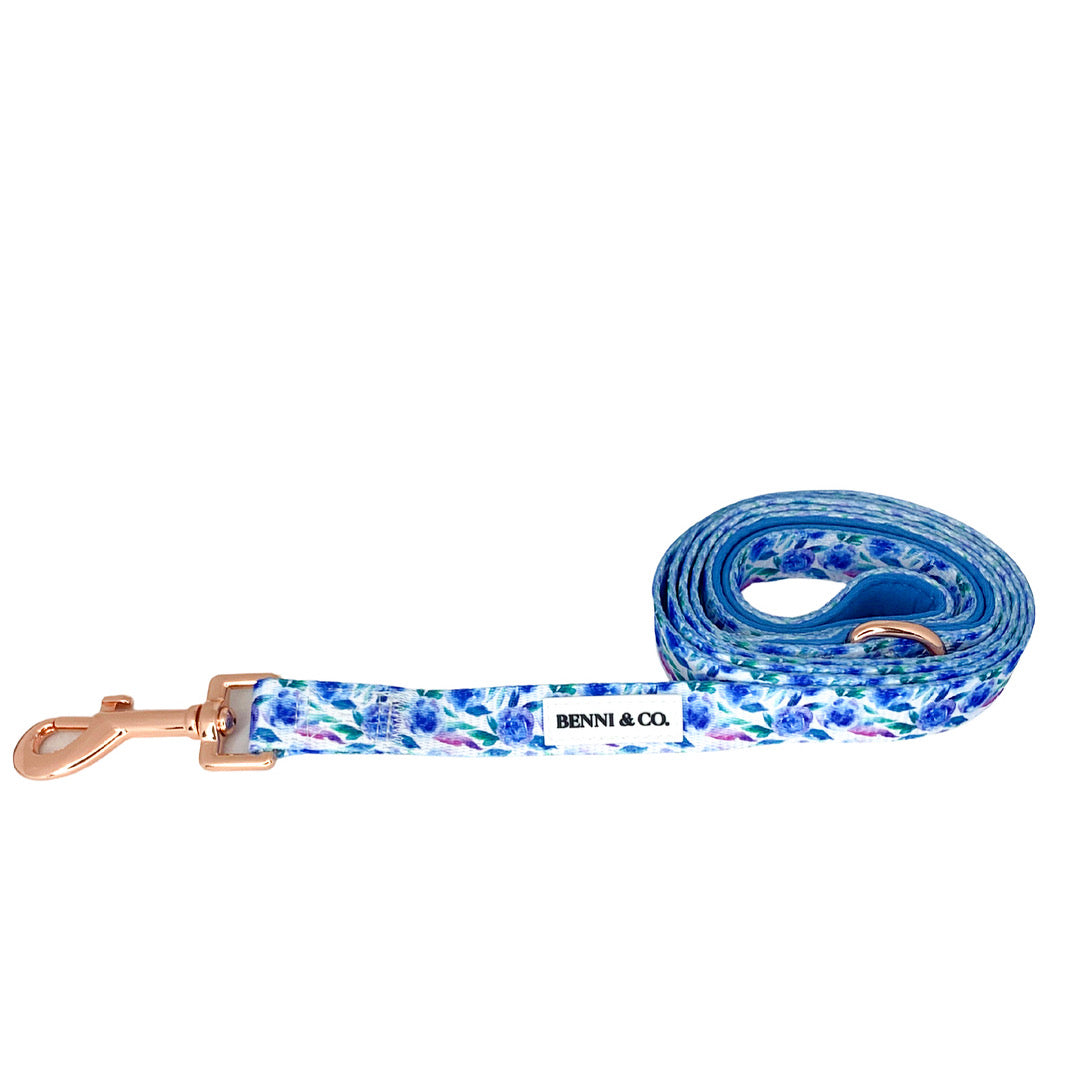 Beach Escape Dog Leash